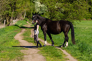 Eine Frau in Reitkleidung führt ein Pferd über eine Wiese. 