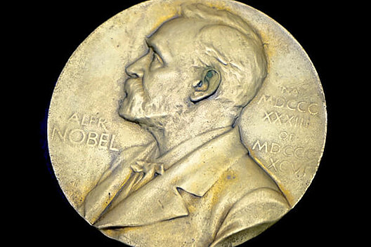 Bild des Nobelpreises (Medaille mit Profil von Alfred Nobel). Bild von Florian Pircher auf Pixabay Bild des Nobelpreises (Medaille mit Profil von Alfred Nobel). Bild von Florian Pircher auf Pixabay