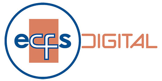 Die ECFS-Konferenz fand in diesem Jahr digital statt. 