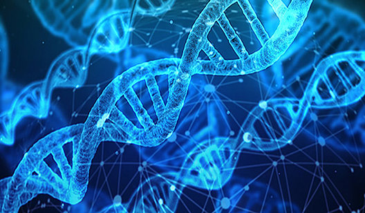 Mit der Forschungsförderung unterstützt der Mukoviszidose e.V. Forschergruppen und Nachwuchswissenschaftler (Symbolbild, Pixabay).
