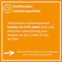 5. Folie zum Thema Vektoren für die Gentherapie, Hinweis darauf, dass es auf der Website weitere Informationen gibt. 