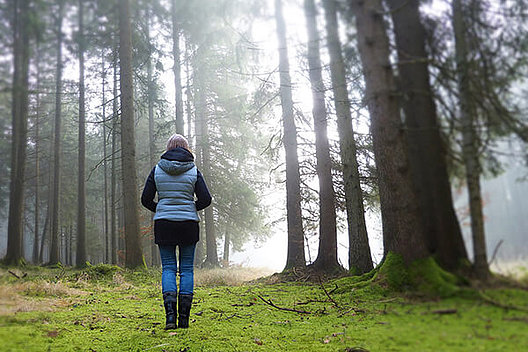Frau steht im Wald bei Nebel. Bild von Silvia auf Pixabay