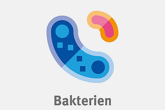 Schematische Darstellung von Bakterien