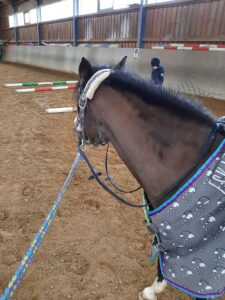 Irgendwann wünschte Hendrick sich ein eigenes Pony.
