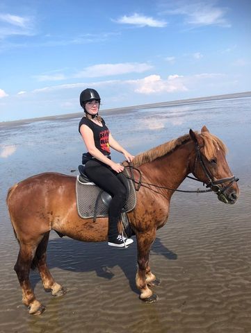 Sandra reitet im Wattenmeer.