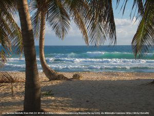 Isla Mujeres, Christmas 2009