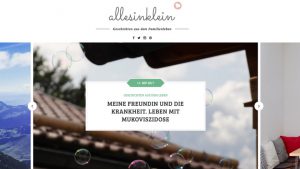 Der Blog allesinklein