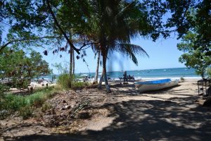 Palmenstrände - ein Markenzeichen von Costa Rica
