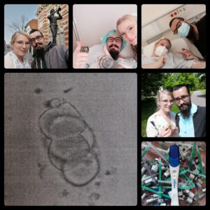 Collage: Anne und Michael, Aufnahme einer Zelle, positiver Schwangerschaftstest. 