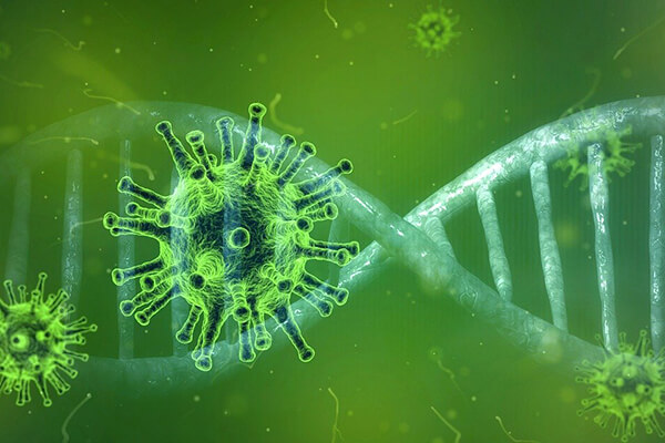 Coronavirus. Foto: Pete Lintforth, Pixabay Coronavirus. Foto: Pete Lintforth, Pixabay
