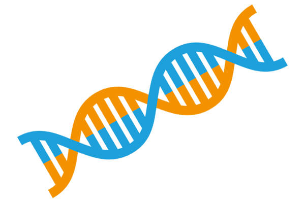 DNA (stilisiert) – Mukoviszidose ist eine genetische Erkrankung.