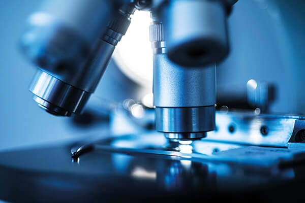 Mikroskop: Der Mukoviszidose e.V. möchte die CF-Forschung für Wissenschaftler interessant machen.